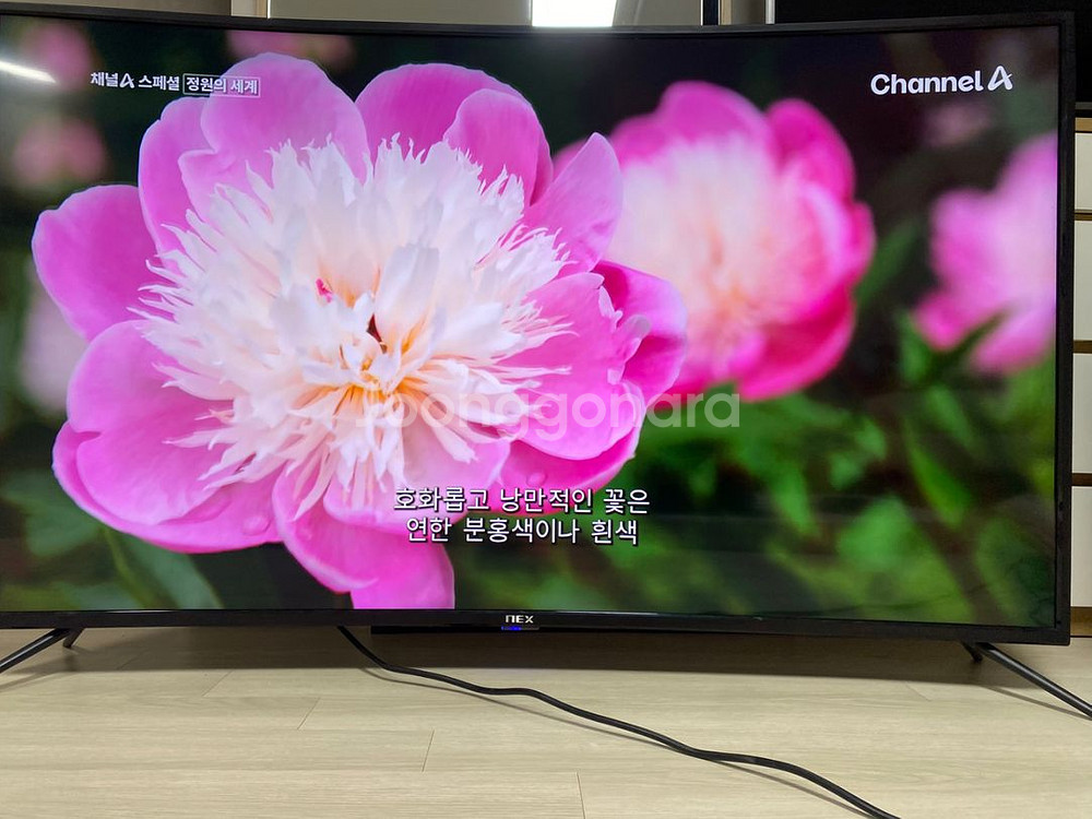 NEX 55인치 커브드 4K TV 19만--6