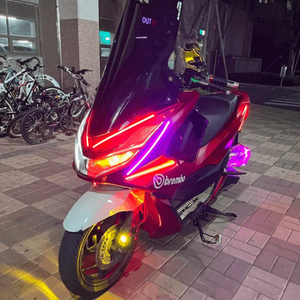(부산) pcx 21년식 풀튜닝