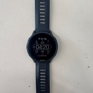 가민 포러러 955