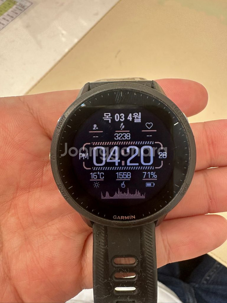 가민 포러러 955--2