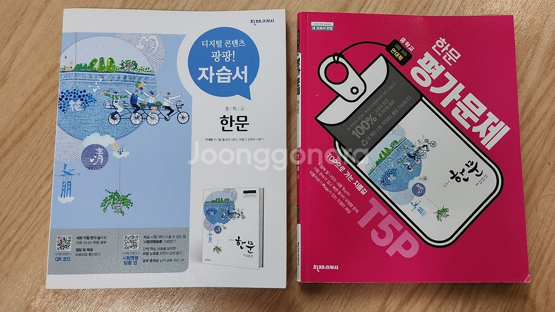 중학교 한문 자습서+평가문제집--0