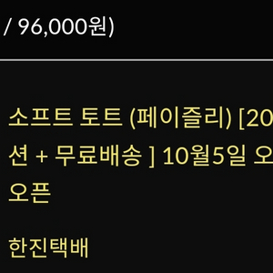 봉긋가방(소프트 토트 페이즐리(