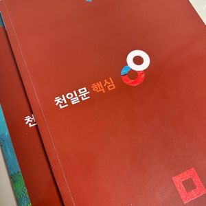 천일문 핵심