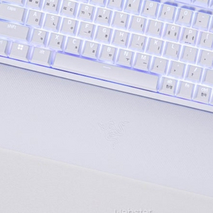 레이저 tkl 화이트 팜레스트 구매