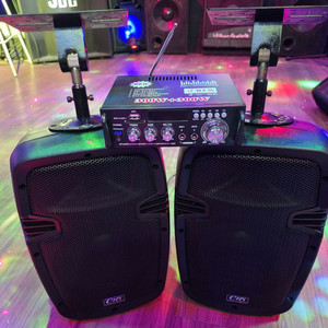 블루앰프 스피커셋트(250+250w)