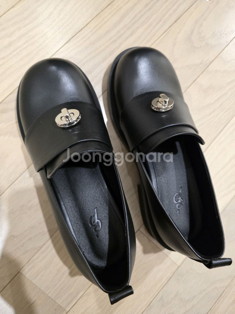 에핑글러 로퍼--2