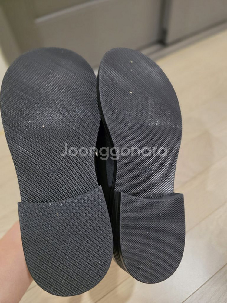 에핑글러 로퍼--3