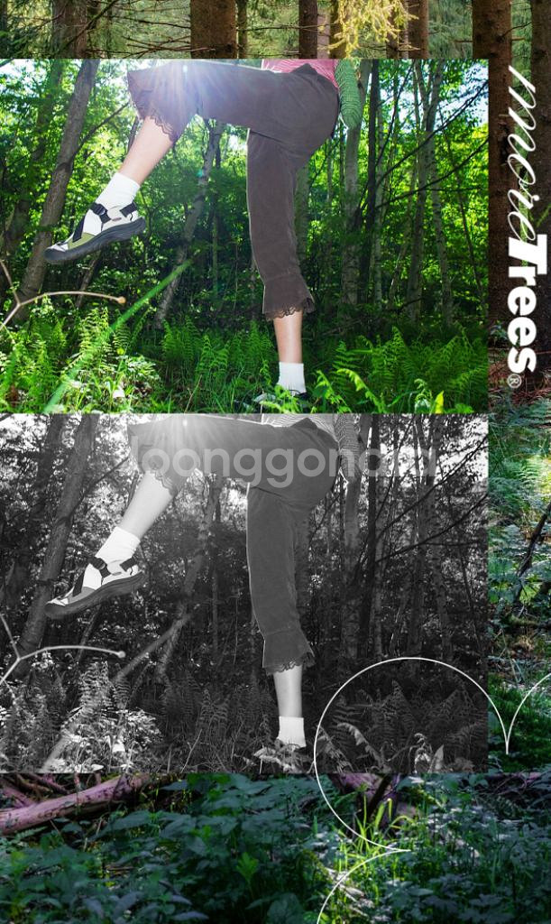 킨 MORE TREES ZERRAPORT 블랙 240--2