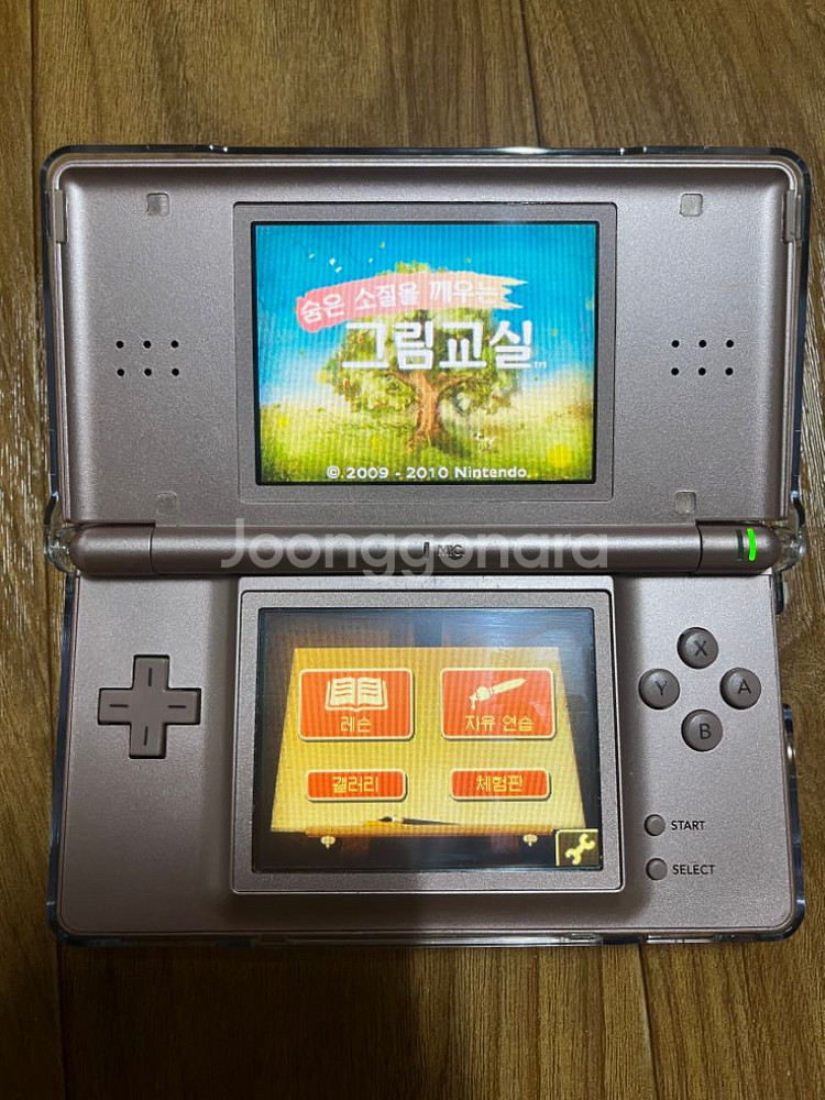 닌텐도 DS 숨은 소질을 깨우는 그림교실 곽팩 칩 판매--4