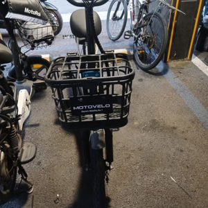 삼천리전기자전거