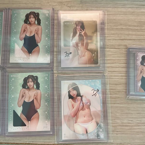 맥심 스텔라카드 쥬 렉릭 오토등 판매