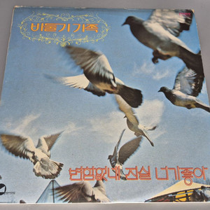 비둘기 가족 LP판