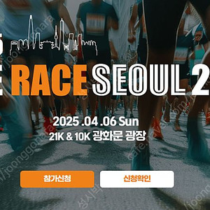 더 레이스 서울 10km 마라톤 양도