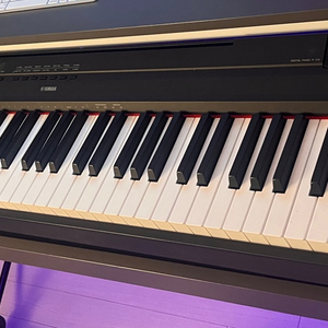 YAMAHA 야마하 P-125 전자피아노(거미다리 포함