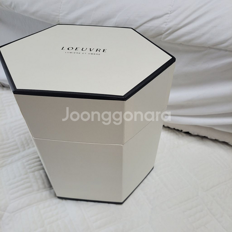 루에브르 삭드 뤼미에르 악어패턴 블랙버킷백--7