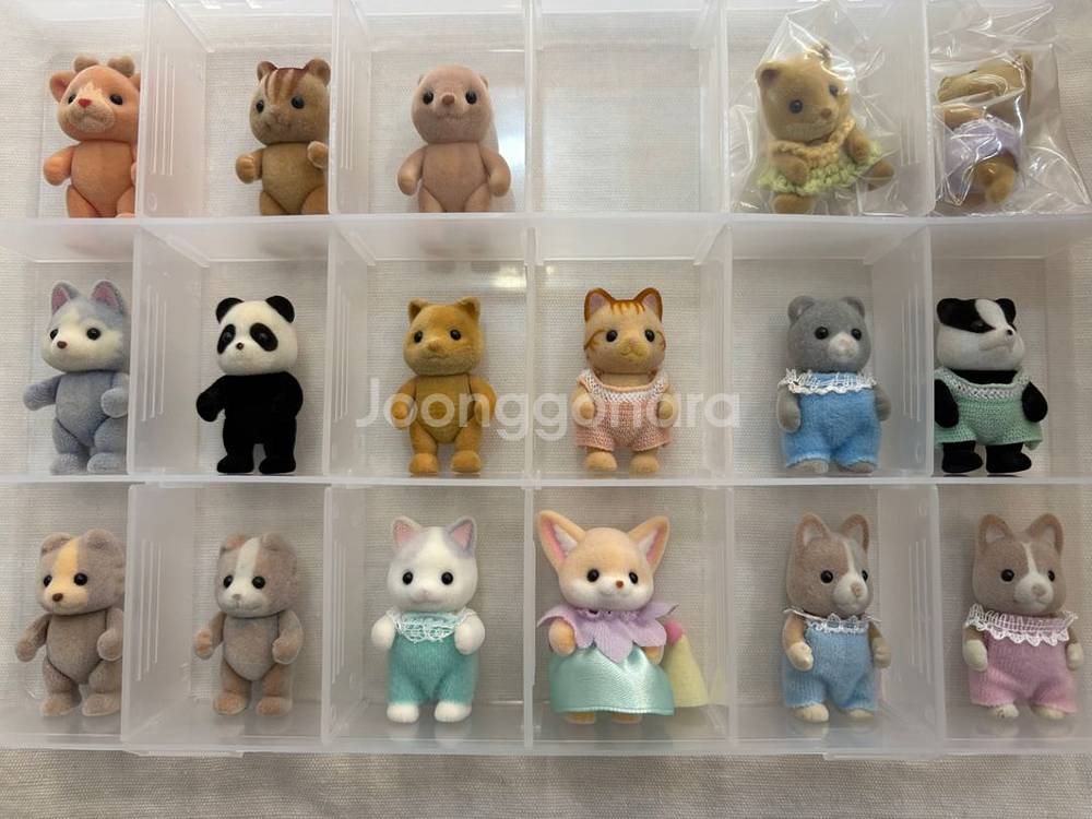 실바니안 직립--0