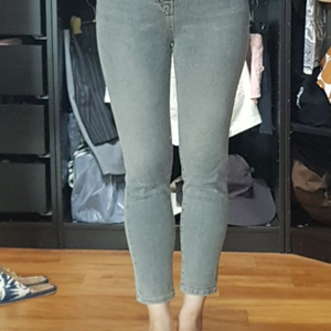 그레이진