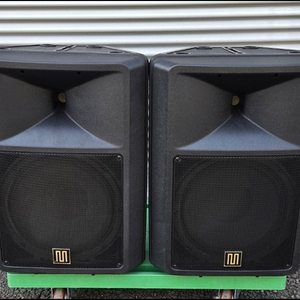 PRO 300 12인치 중고 스피커