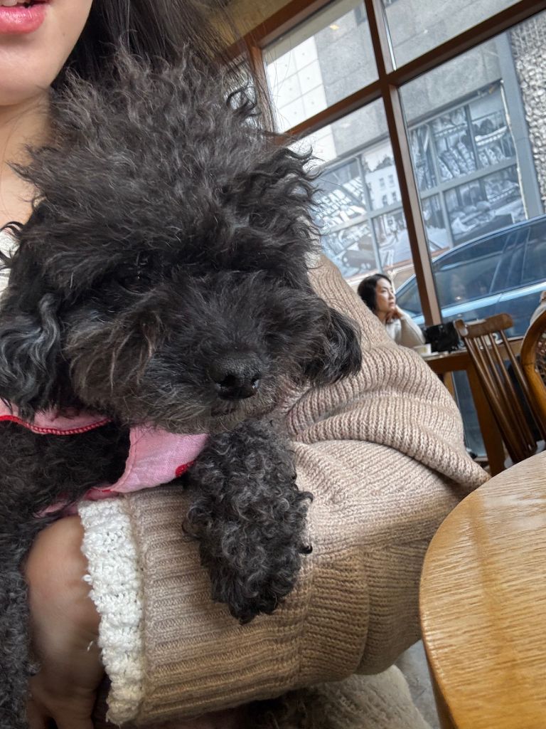 프로파일