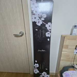 22/23 AVEL 체리블라썸 158 원티 팝니다.