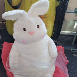게으른토끼 60cm (봉제인형) 대형