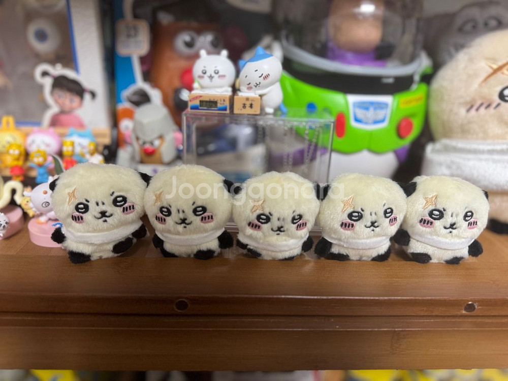 앉은 누이 랏코--0