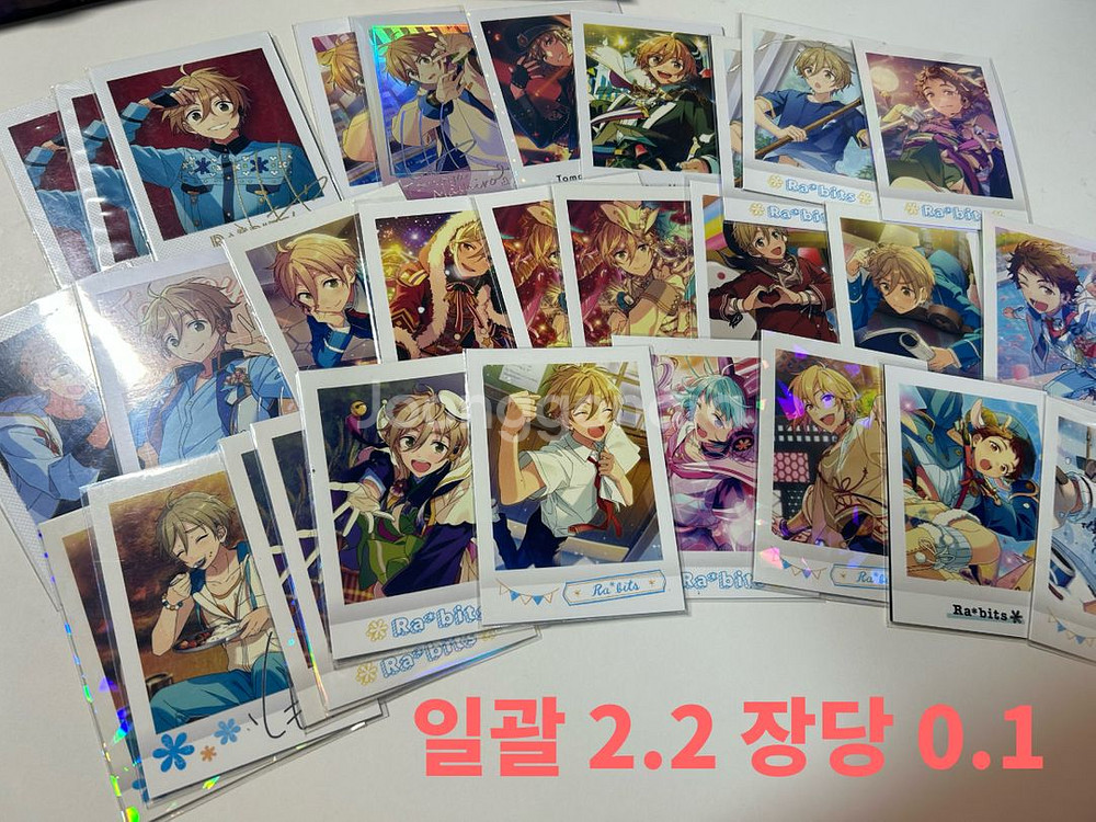 앙스타 라빗츠 파샤 코롯토 뱃지 누이--4