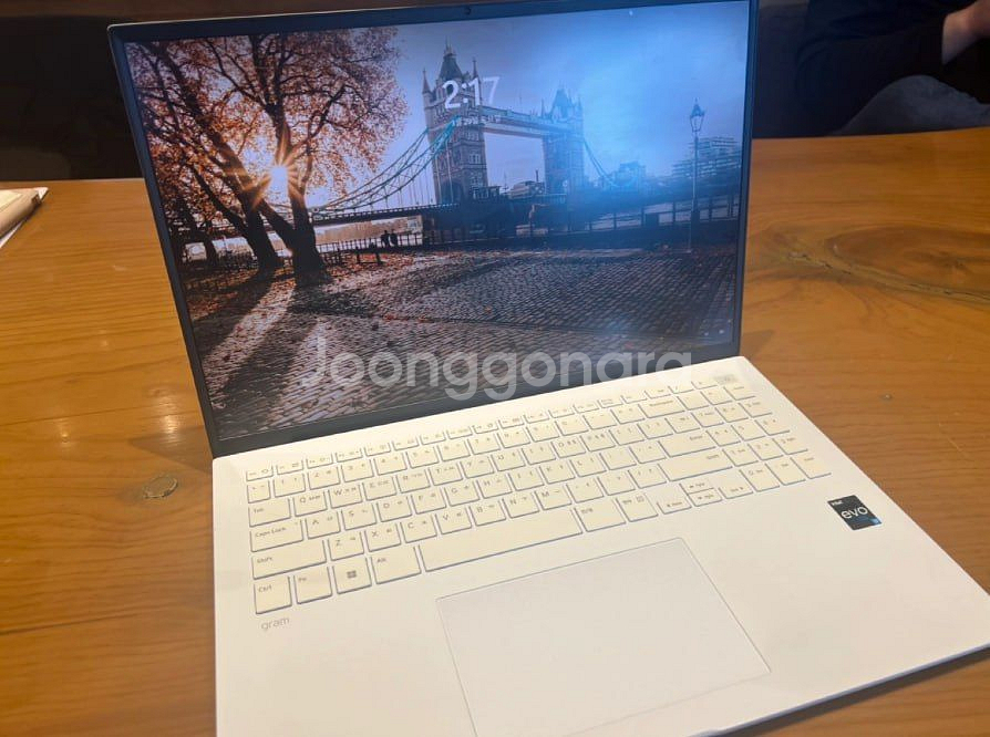 LG gram 16Z90R-GP76ML 512gb (2--0