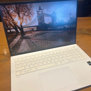 LG gram 16Z90R-GP76ML 512gb (2
