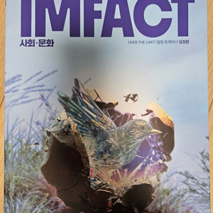 2025학년도 대성마이맥 임정환 임팩트 사문