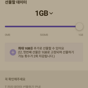 skt 데이터 2기가