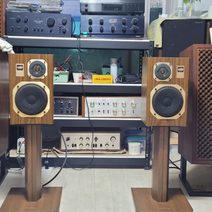 코랄 ex-101w 북셀프 스피커