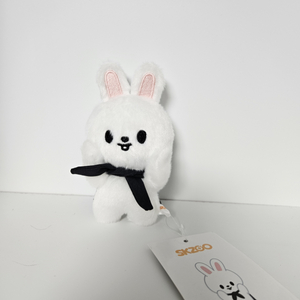 스트레이키즈 스키주 리빗 마그넷키링