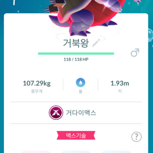 포켓몬고 거다이맥스 이로치 거북왕 판매