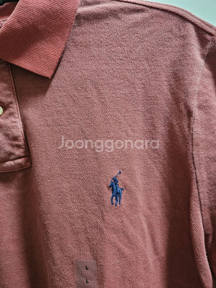 폴로 카라 반팔티--1