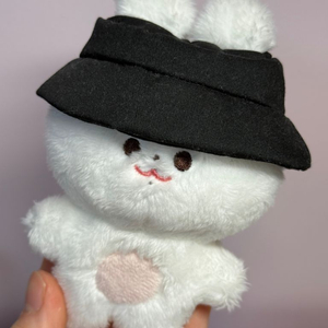 방탄소년단 정국 10cm 인형 토꾸 양도