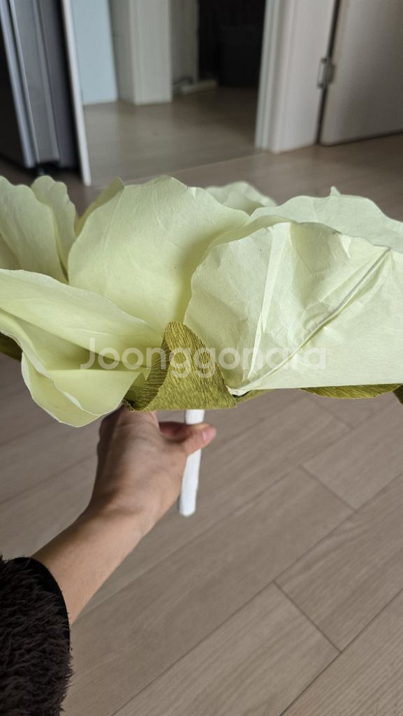 무용소품--3
