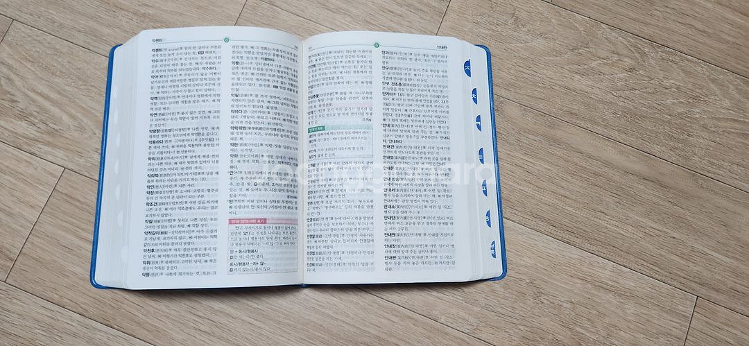 동아 연세 초등 국어사전--2