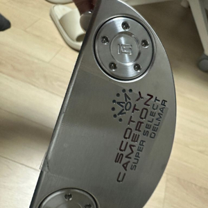 스카티 카메룬 델마퍼터 신형