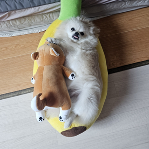 넥슨카드80%삽니다