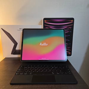 아이패드 프로 12.9(6세대)