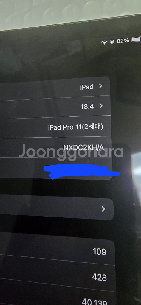 아이패드 프로 11인치 2세대--2