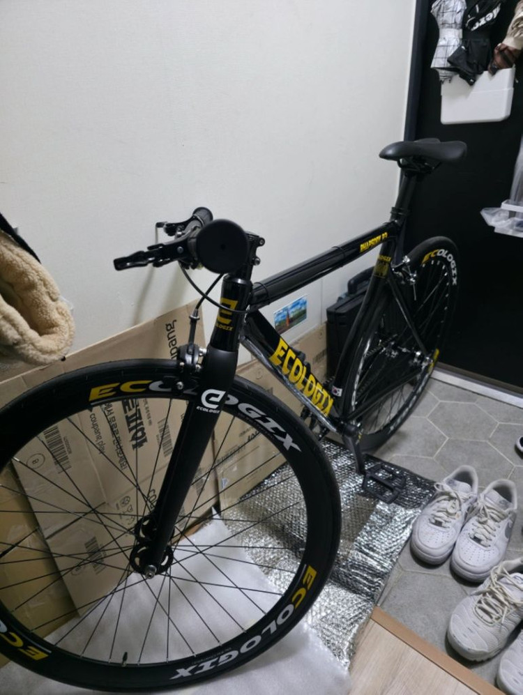 에콜로직스 랩소디 R3R 퍼슛 픽시 490 이미지