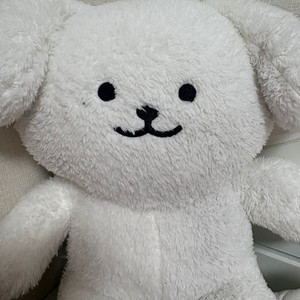 엔시티 엔시티드림 제노 젠몽이 인형 큰인형