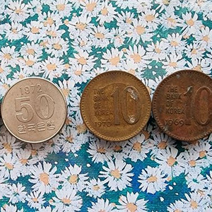 희귀동전