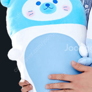 다이소 물범인형 삽니다