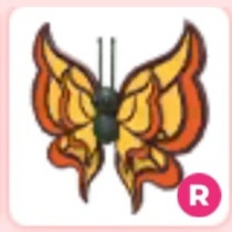 입양하세요 타는 나비