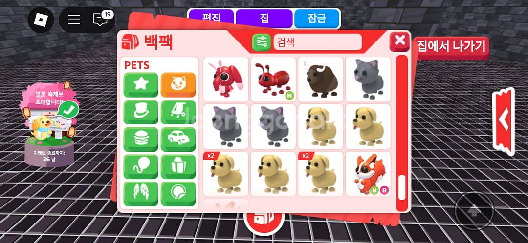입양하세요 펫--5