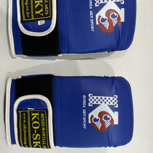 코리아스카이 복싱 글러브