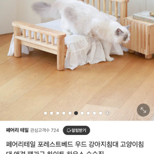 강아지/고양이 원목 침대, 협탁, 대리석쿨매트 풀세트